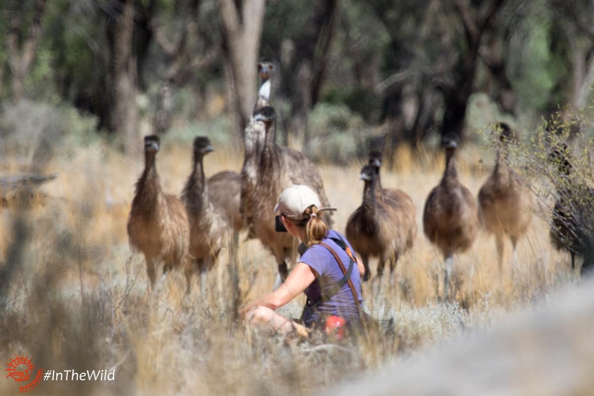 mungo outback tour