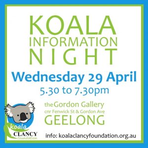 koala information event