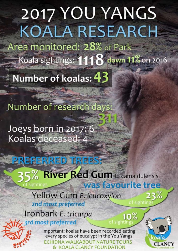 You Yangs koala research 2017 summary