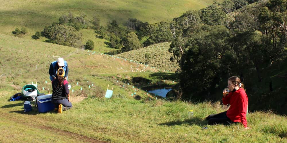 tree planters break Australia