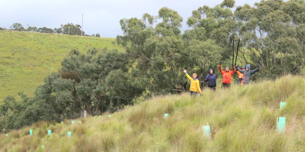 A happy crew of tree planters Australia