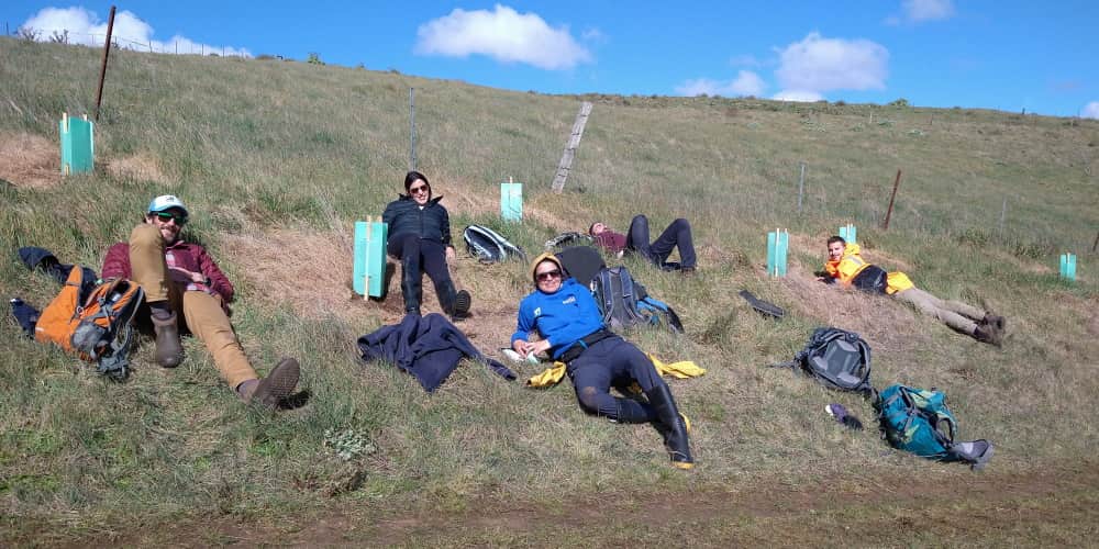 tired tree planters Australia