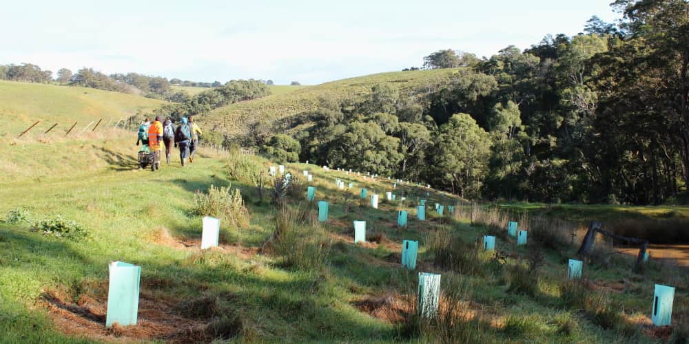 tree planters starting their day Australia