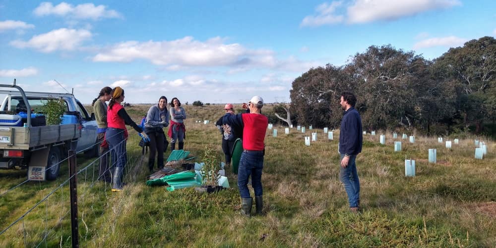 fencing tree planting site