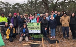 raymond island tree planting