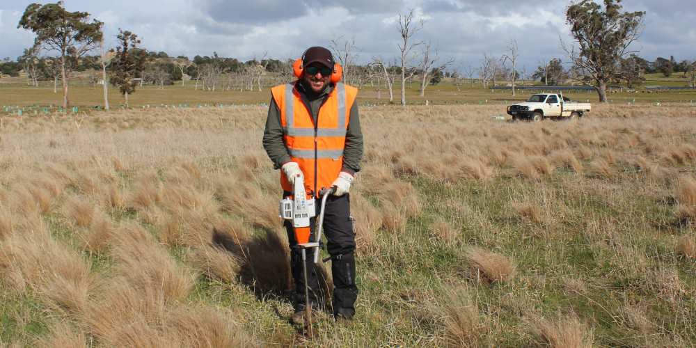 tree planting site preparation man with auger Australia