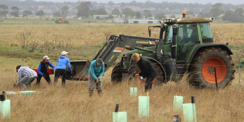 tree planting volunteers tractor