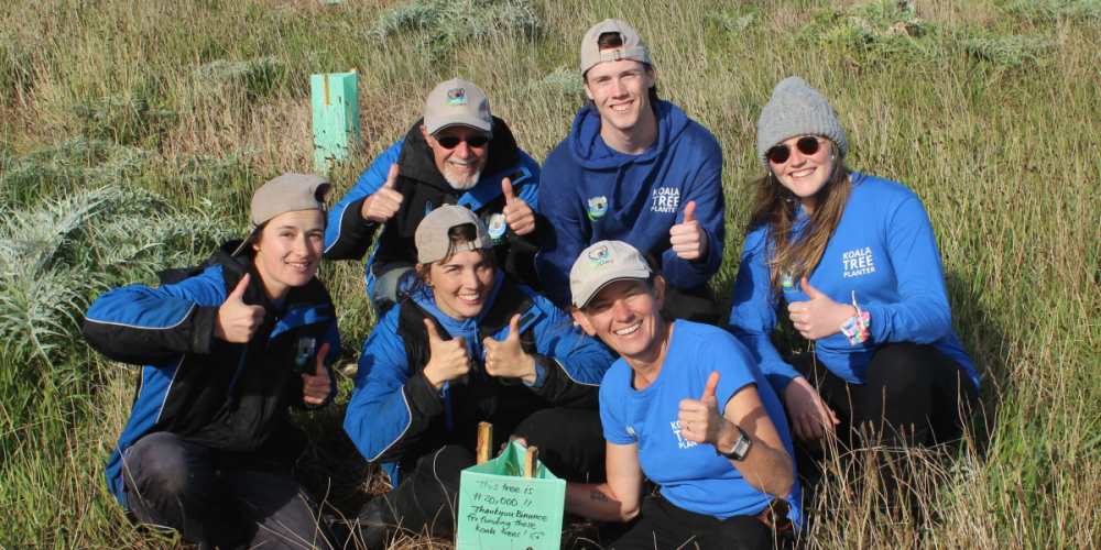 koala organisation fighting climate disaster