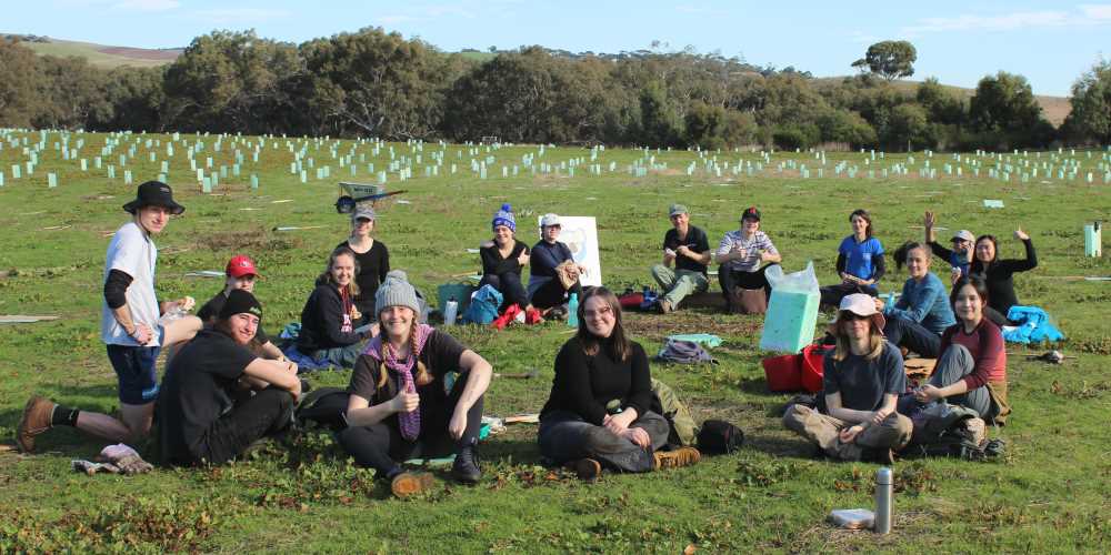 environmental science students koala research