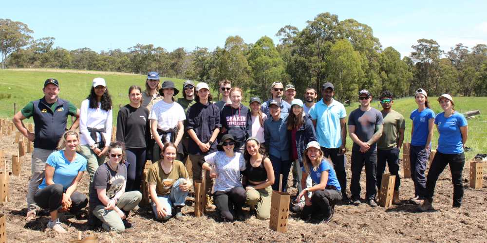 Deakin university students tree planting