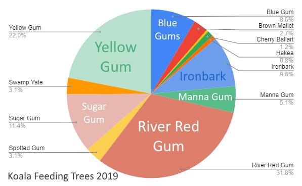 chart showing koala feeding trees