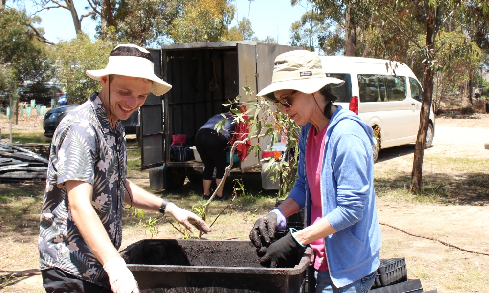 Volunteers at Koala tree seed sowing event