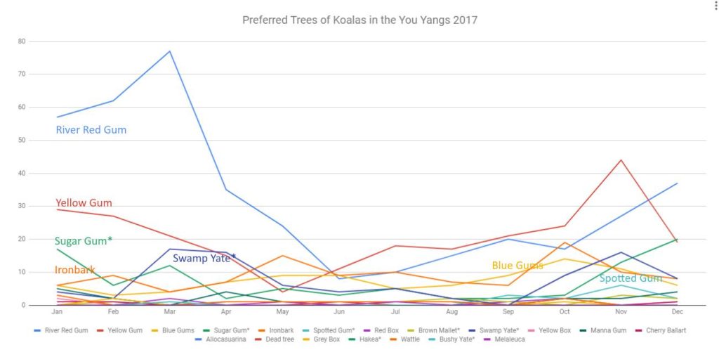 chart koala trees by month 2017 you yangs