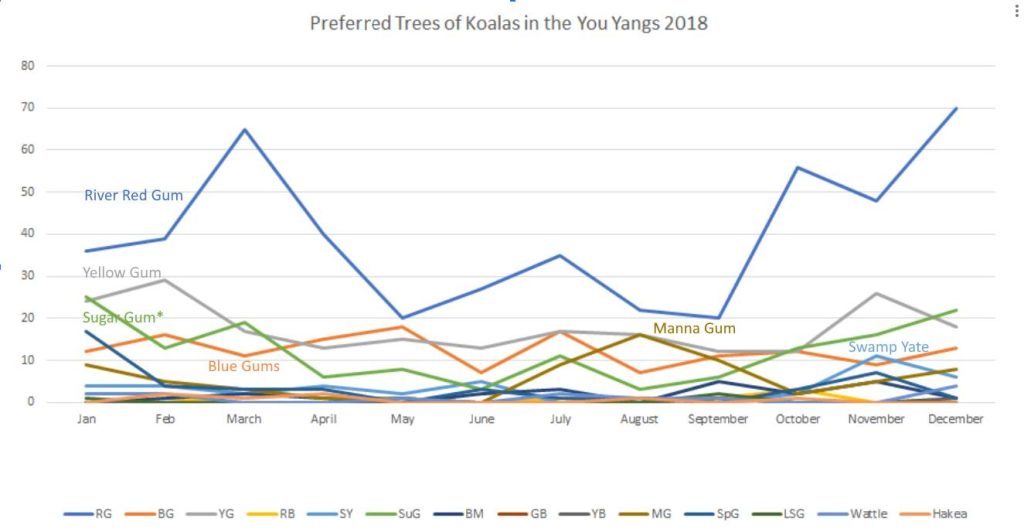 chart koala trees 2018 by month