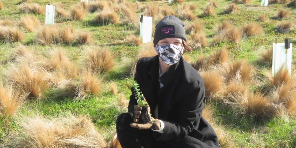 deakin university student planting koala tree