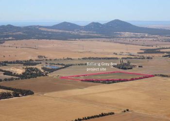 ballliang grey box restoration project