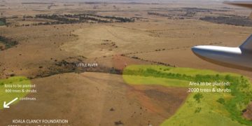 koala link little river you yangs