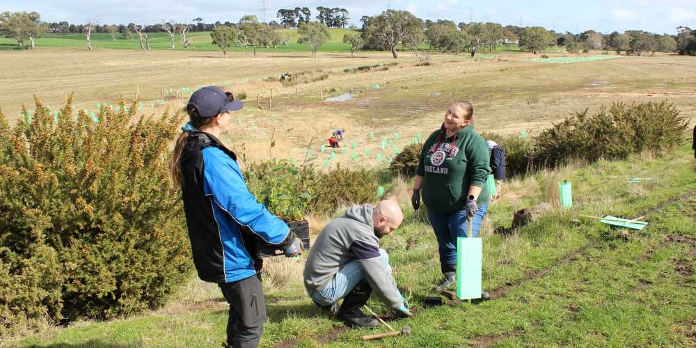 Volunteers and KCF staff planting in August 2022