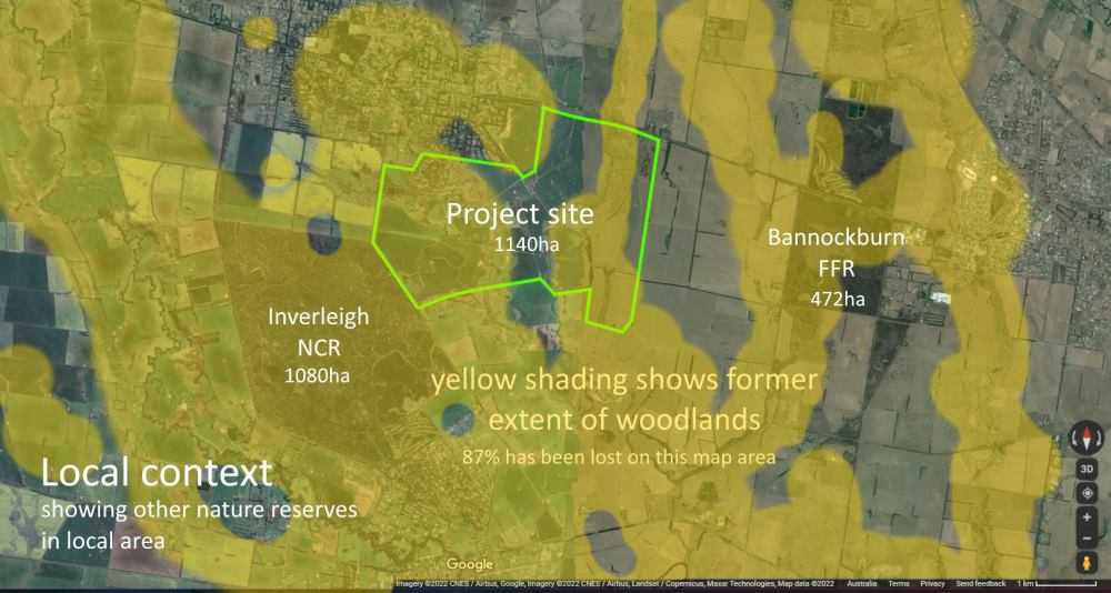 inverleigh koala habitat