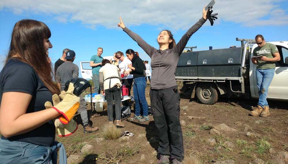 taking action on wild koala day