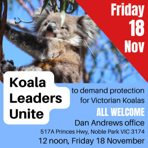 koala rally melbourne