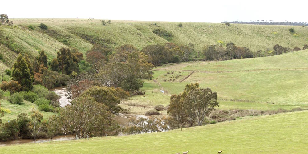 101 Koala Road Gnarwarre tree planting site