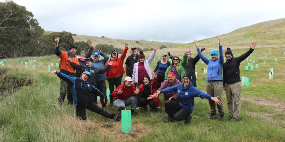 koala achievements 2023