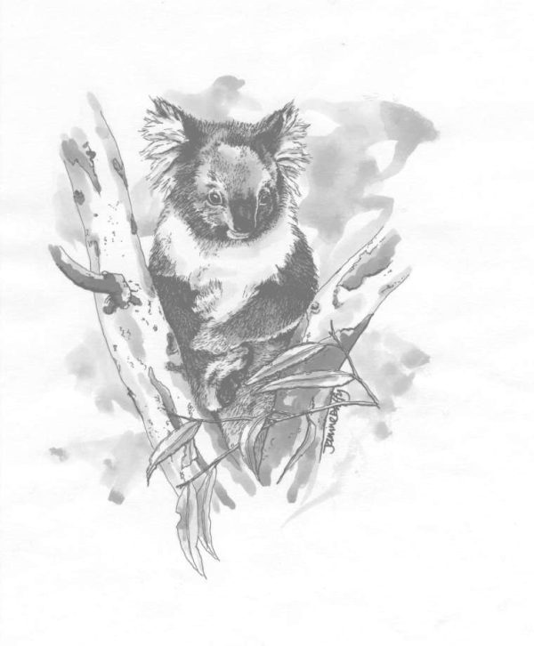 female koala print by Janine