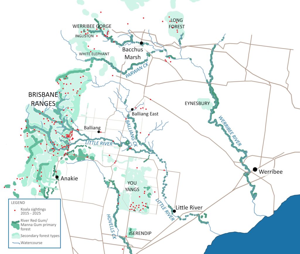 map little river victoria koala sightings forest types
