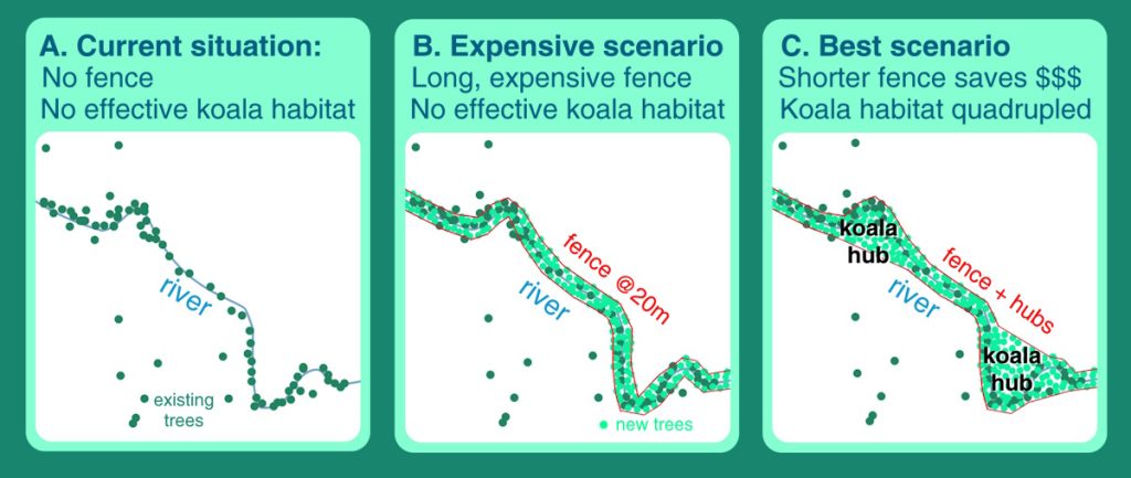 koala hubs diagram