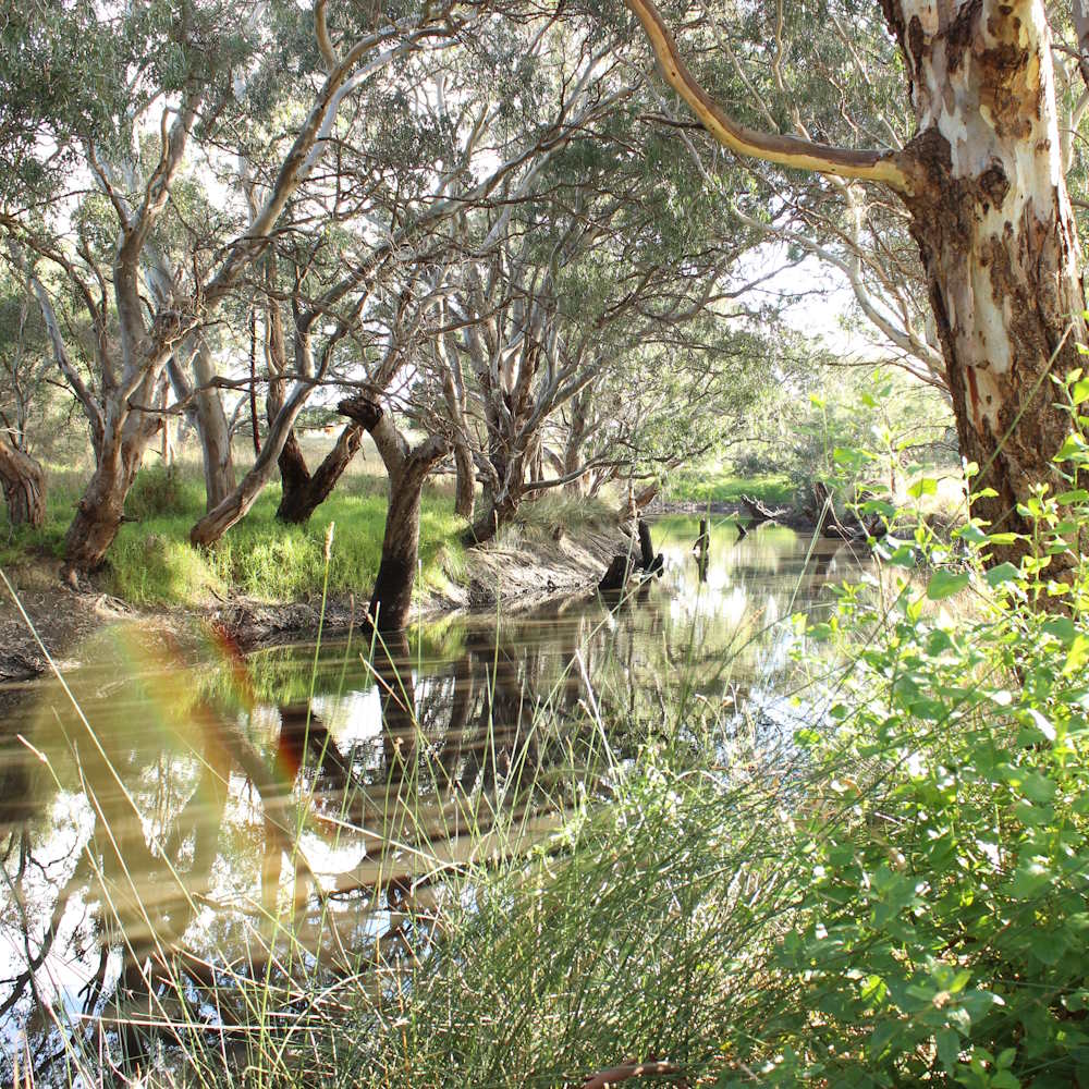 Little River at Ripley, VIC