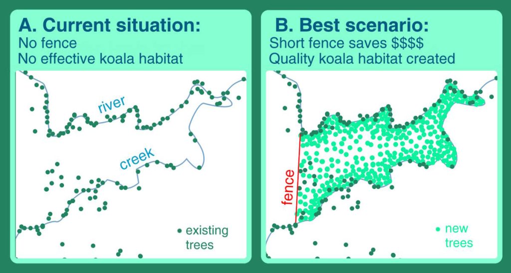 diagram creating koala hubs by rivers