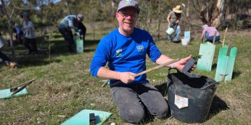 184,837 Trees Planted for Koalas