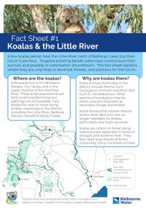 koalas rivers riparian vegetation fact sheet