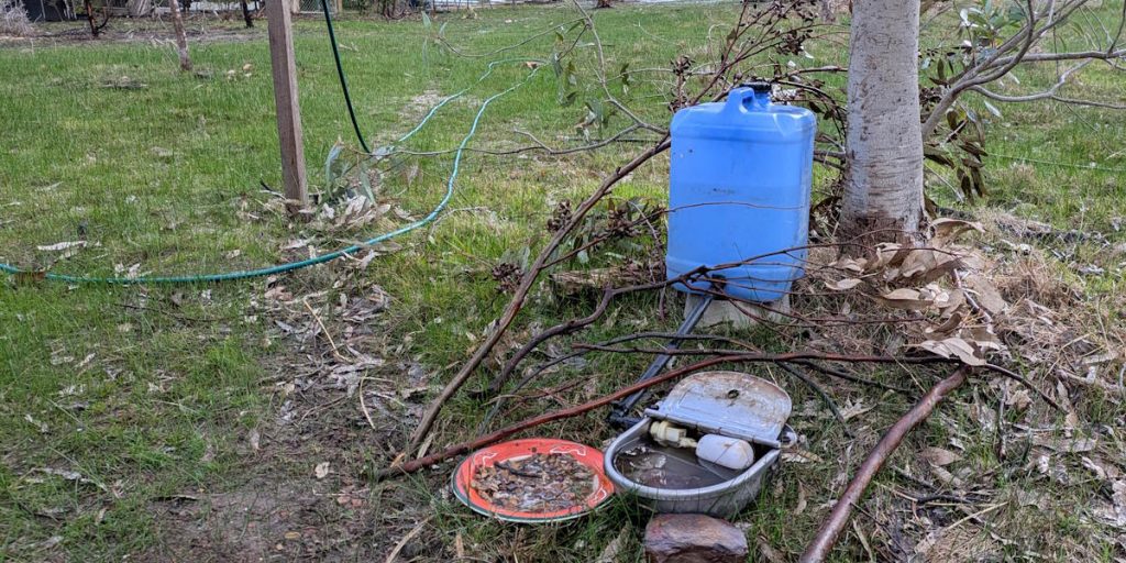 water for wildlife self-filling water station on site