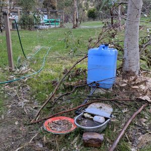 water for wildlife self-filling water station on site